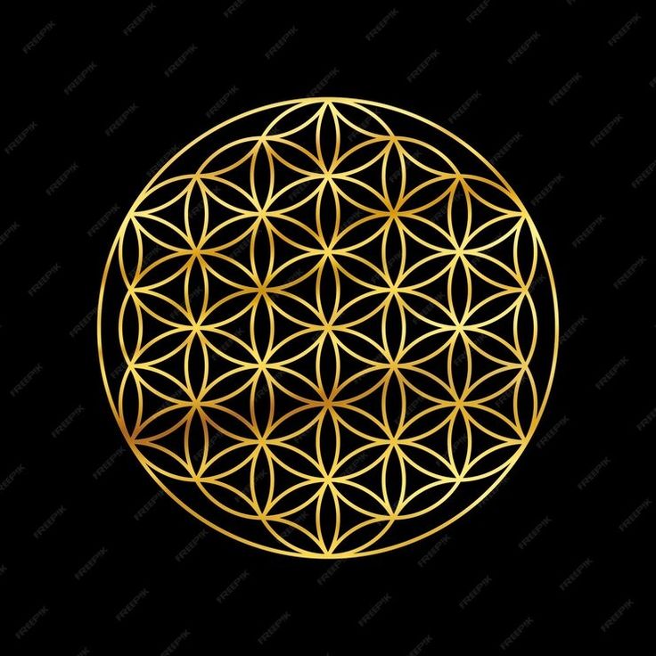 Karibu💚 flower of life